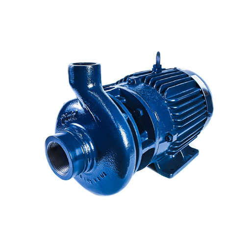 BOMBA C1.1/2 X 2.1/2 - 11.5T HERC