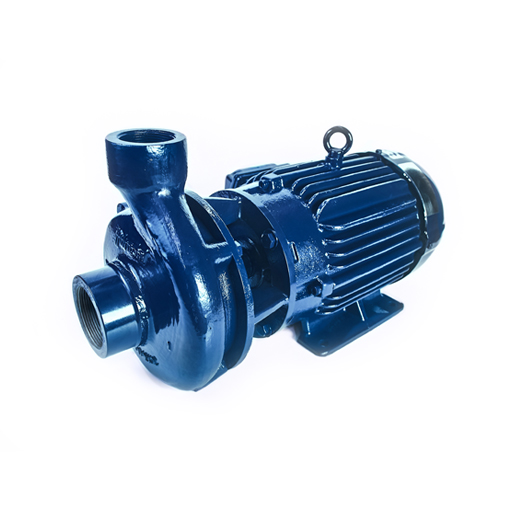 BOMBA B1.1/2 X 2 -5.7 T HERC